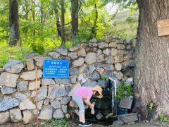 -阳台山自然风景区