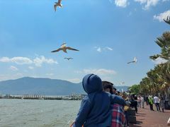 -滇池海埂公园