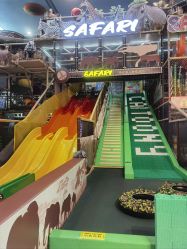 -卡通尼·Safari非洲探索乐园·生日会(金桥国际商业广场店)