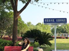 -上海浦东康桥绿地假日酒店