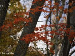 -龙道沟景区