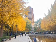 -玲珑塔公园