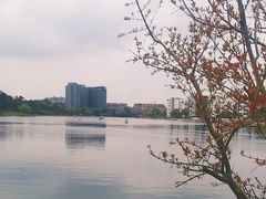 -美兰湖景区
