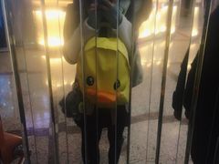 -东方之珠KTV娱乐超市(河北店)