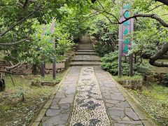 -香雪海