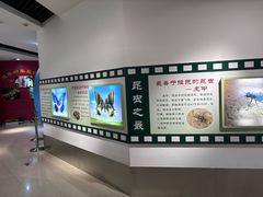 -上海昆虫博物馆