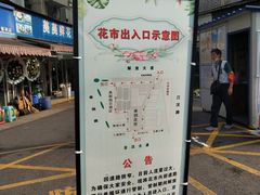 -循礼门鲜花花市(武汉循礼门店)