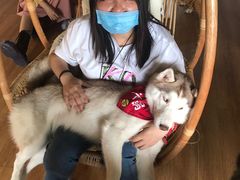 -Husky Go! 哈士奇体验馆·宠物咖啡厅狗咖