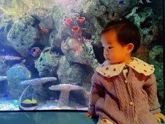 -沈阳海洋探索中心