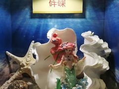 -海合安青岛极地海洋公园