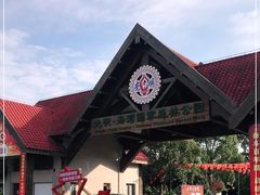 -上海海湾国家森林公园