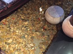 -颐和•海鲜砂锅粥•啫啫煲(奥林匹克广场店)