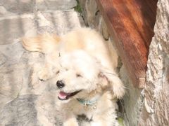 -MOJ coffee(瓯海泽雅水碓坑店)