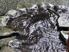 -成都市活水公园