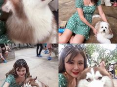 -TrueLove @ Neverland (Husky Cafe)