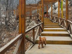 -大岭沟猕猴桃谷风景区