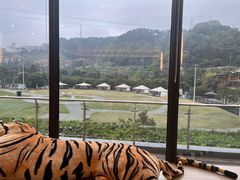-重庆南山海昌汤都