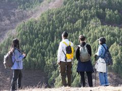-阳台山自然风景区