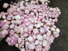 -循礼门鲜花花市(武汉循礼门店)