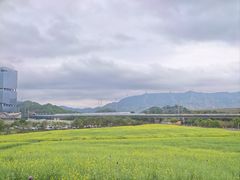 -光明小镇欢乐田园