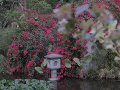 -深圳国际园林花卉博览园