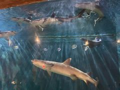 -华夏文旅西安度假区