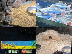 -顺德南宏海立方海洋公园