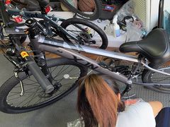 -道路口单车爱瓦士dahon大行