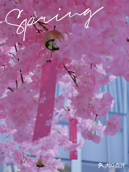 春日踏青攻略🌸｜金陵的“粉色樱花季”在金茂汇延续着…