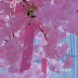 春日踏青攻略🌸｜金陵的“粉色樱花季”在金茂汇延续着…