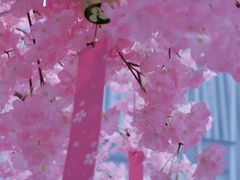 -金茂览秀城