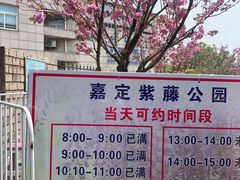 -嘉定紫藤园