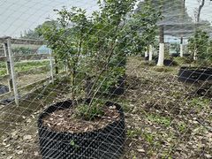 -洪湖家庭农场·团建·露营·会议