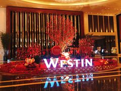 -武汉武昌威斯汀酒店-知味自助餐厅