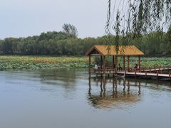-白洋淀景区