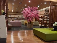 -大江户·温泉洗浴(浑南店)