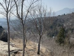 -白水寺森林公园