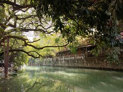 -小洲村