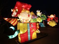 -南宫五洲植物乐园