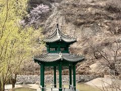 景点-南石洋大峡谷