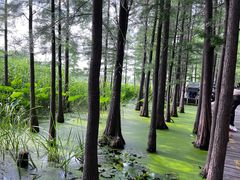 -云龙湖旅游景区