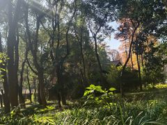 -杭州植物园