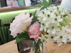 -gaga(深圳南山益田假日广场店)