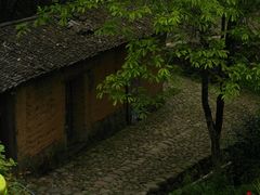 -杨家堂村