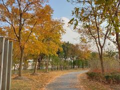 -浦星公路-路侧停车位