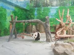 -灵玲国际马戏城