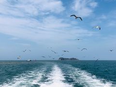 -海驴岛(荣成市)