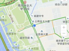 -金陵之星大酒店·中餐厅