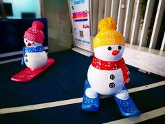 -绍兴启迪乔波冰雪世界
