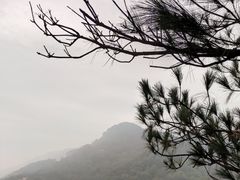 -南山植物园